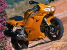 Triumph Daytona T595